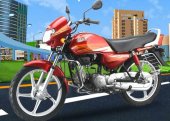 2008 Hero Honda CD Deluxe photo